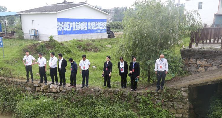 解读甘棠的象征意义（深入探讨古代文化中甘棠的重要地位）