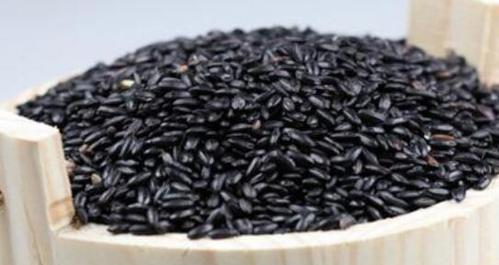 黑糯米的神奇功效与美食探秘（黑糯米的作用及食用方法全面解析）