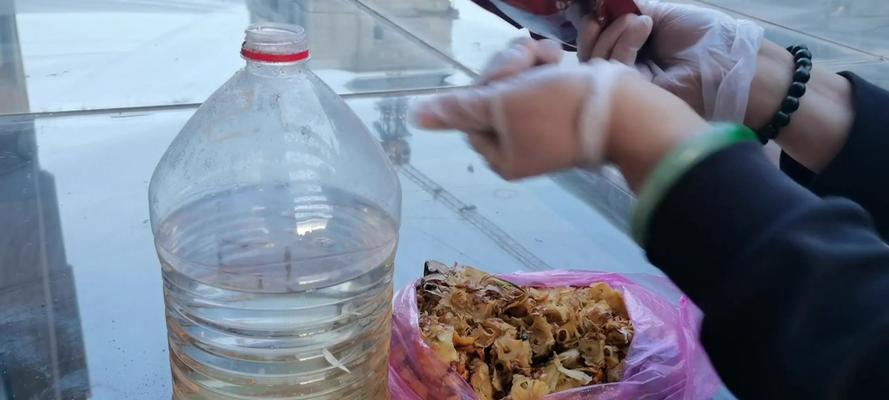 红糖水不仅可以饮用，还能用来浇花？（红糖水的神奇功效让你惊叹！）
