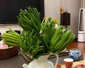 佛手瓜（如何在家里种出美味佛手瓜？）