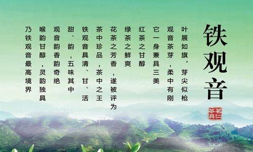 铁观音生长环境条件及特点（探讨铁观音的生态和生长方式，了解它的环境要求与栽培技巧）