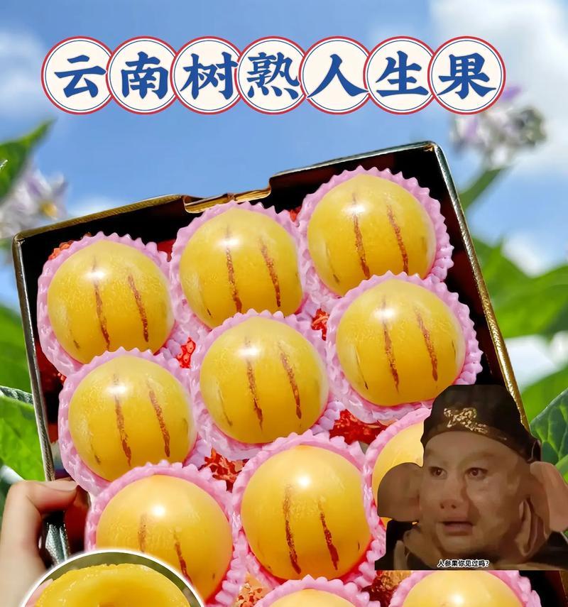 人参果成熟上市月份揭秘（揭秘人参果的成熟周期与上市时间）