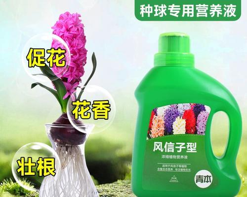 荷花花肥制作与使用方法（自制肥料，让荷花更美丽）