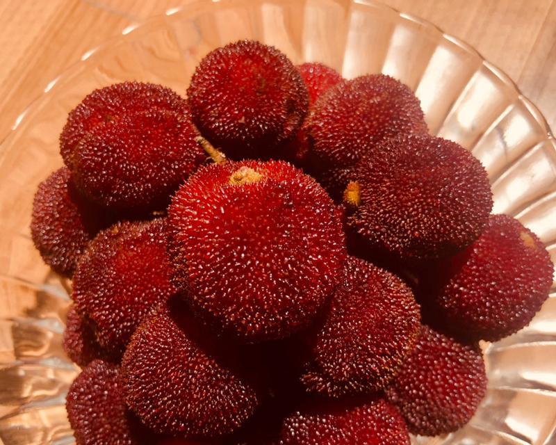 如何挑选新鲜美味的杨梅？（识别好的杨梅的方法和技巧）