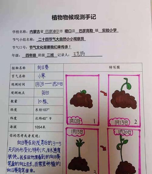 天竺葵种子发芽周期及注意事项（探究天竺葵种子发芽时间，让你种出更美丽的花园）
