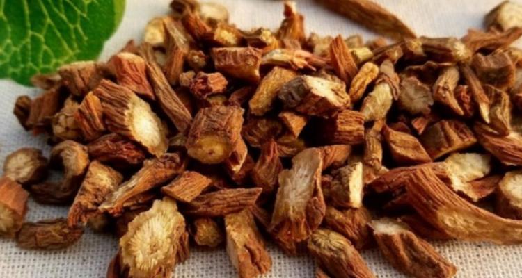 怀地黄的功效与作用及食用方法（探寻中医经典草本之王，助你美容养颜，提高免疫力）