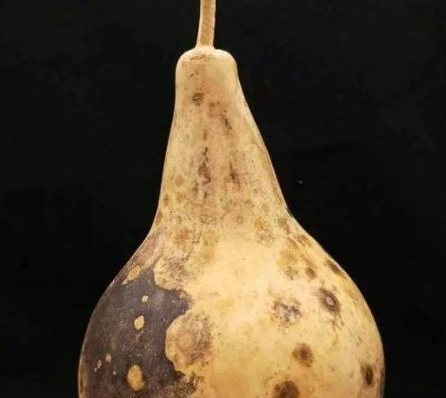 西葫芦是否需要去皮？（如何处理西葫芦的皮？）