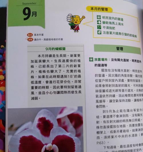 蝴蝶兰花养殖全指南（从选种到繁殖，打造美丽花园）