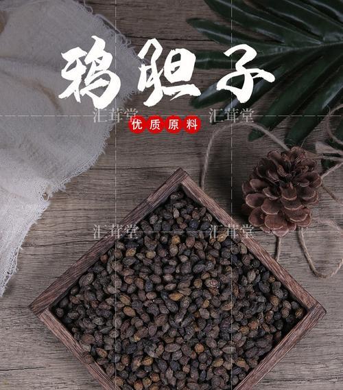 了解鸦胆子——一种神奇的植物种子（探究鸦胆子的起源、特点与应用）