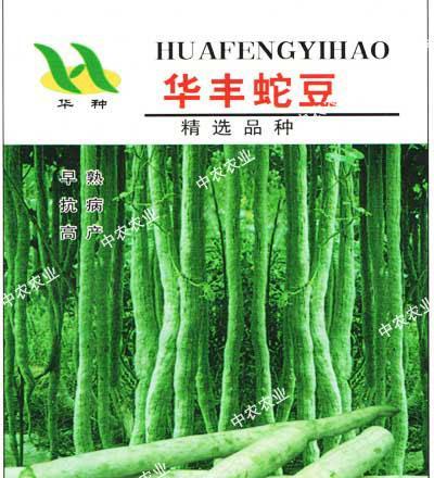 如何留下蛇豆的种子（蛇豆栽种的技巧与秘诀）