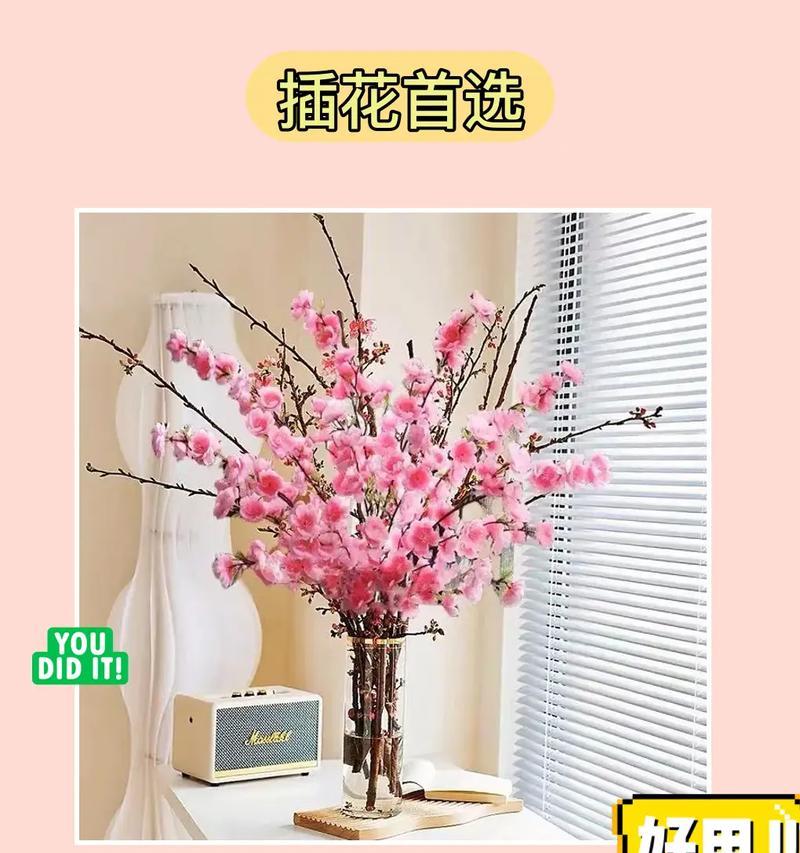 红梅的养殖技巧（掌握这些技巧，让你的红梅更美丽）