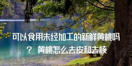 黄桃削皮去核最简单方法（教你一招轻松去皮去核，吃黄桃再也不用苦恼）