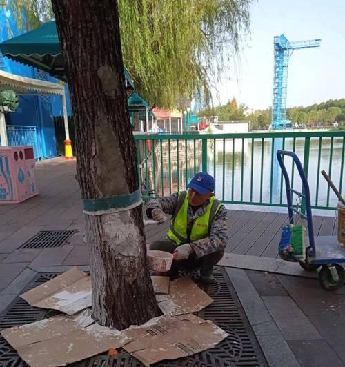 柳树病虫害防治技术与方法措施（以生态优先为原则，提高柳树免疫力）