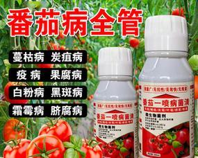 果树黄叶病治疗秘笈（掌握这些方法，果树生长不再受阻！）
