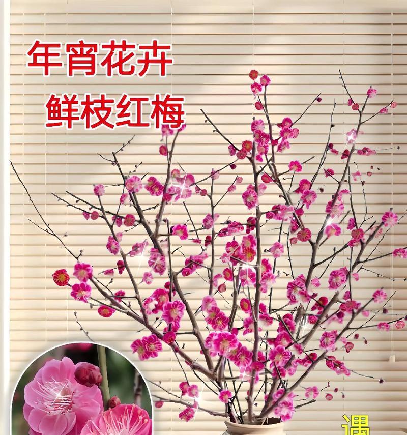 水梅花开花期（探寻水梅花的美丽）