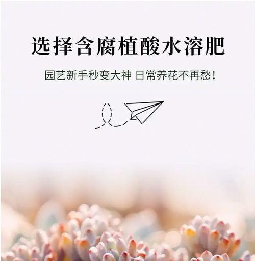 如何选择合适的盆景树肥料（选择肥料须知，为您打造精致的盆景树）