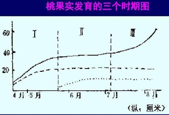 探秘桃树的生长习性与环境条件（桃树生长环境的多样性与不同栽培方式的选择）