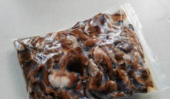 蘑菇可以冷冻保存吗？（冷冻保存蘑菇的方法与注意事项）