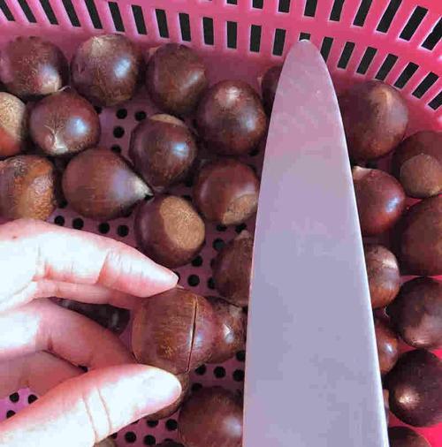板栗根的神奇功效与作用（探究板栗根的多种营养及食用方法）