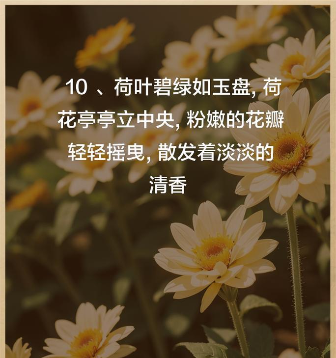 荷花的美丽与神秘（探寻荷花的色彩和形态）