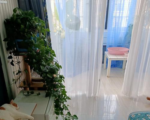 绿萝叶子蔫了怎么办？（原因分析与补救方法，让您的绿萝健康生长）