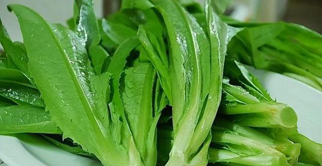 论油麦和莴苣的菜用特性（探究油麦和莴苣的营养成分和烹饪方法，提供更多菜谱选择）