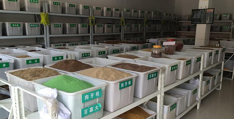 如何正确播种皇竹草种子