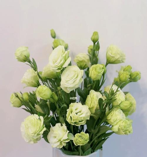 深入了解百合花花语（探究百合花的文化内涵）
