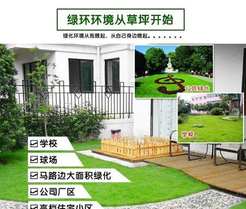 草籽的最佳播种时间及相关注意事项（掌握草籽播种窍门，轻松种出优质草坪）