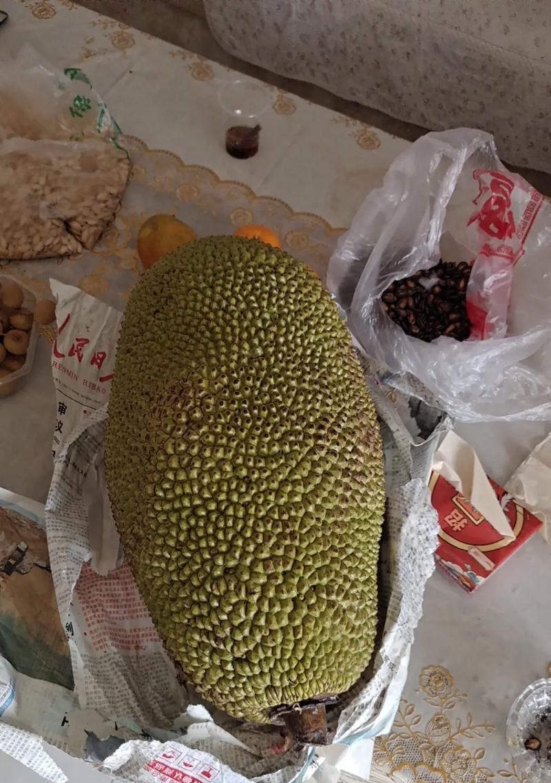 菠萝蜜保鲜小技巧（多久不坏？如何保存？）