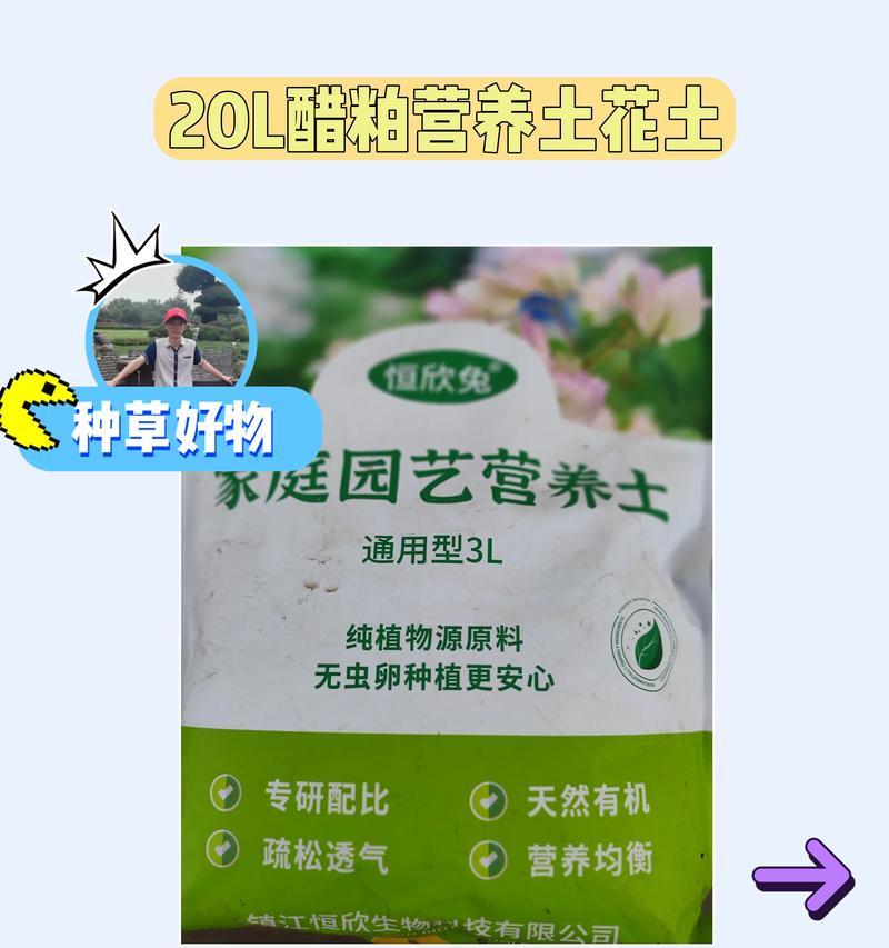 用白醋浇花，让花儿更美丽（正确方法和好处，做好花儿的呵护）