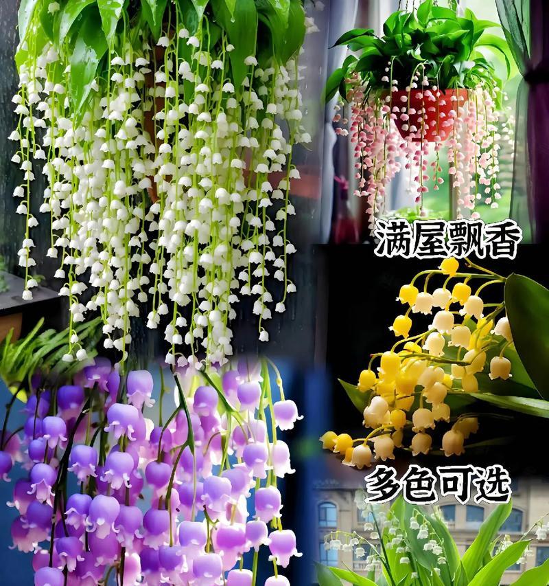 铃兰开花时间分析（探究铃兰开花的季节规律）