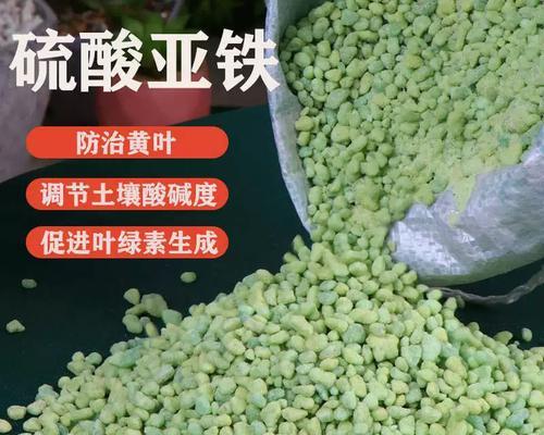 怎样施肥让桂花更美丽？（掌握喜肥要领，花香更浓郁）
