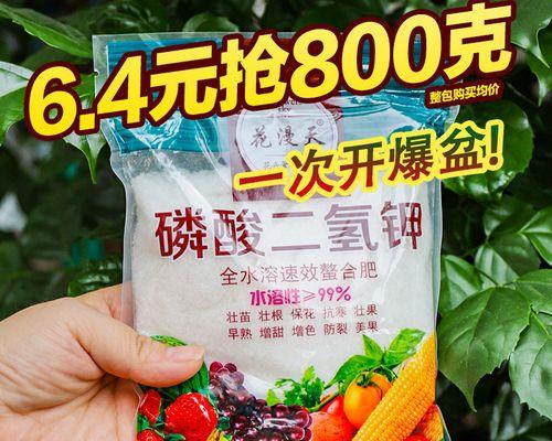 花卉的肥料应该选择什么？（肥料选择技巧与实用推荐）