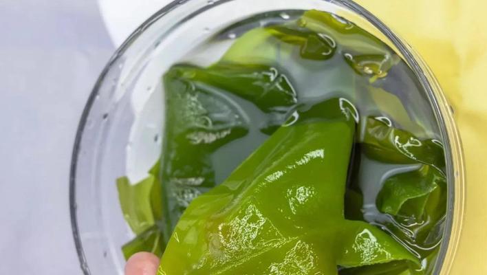 探秘裙带菜（这种植物到底是什么？为什么这么受欢迎？）