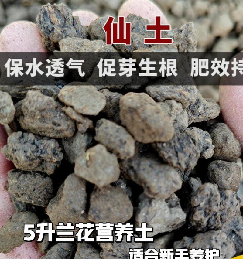 自制蝴蝶兰生长土壤的配制方法（打造适合蝴蝶兰生长的土壤，让花开得更美）