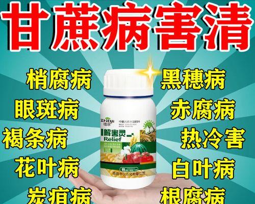 甘蔗肥料选择的技巧(甘蔗肥料种类及施用方法详解)