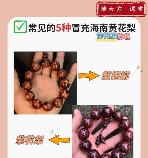黄花梨生长周期详解（从种子到成熟的历程，看黄花梨的生长变化）