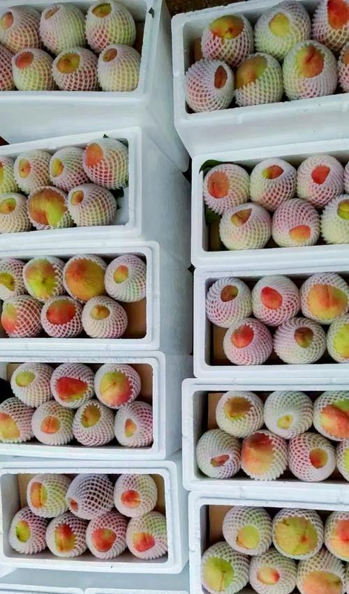 水蜜桃真的含糖量很高吗?(科学告诉你真相,让你不再被谣言欺骗)