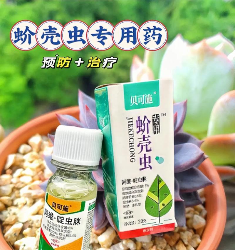 了解介壳虫的特征和危害