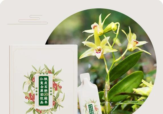 石斛花的养殖方法和注意事项（打造健康美丽的石斛花园）
