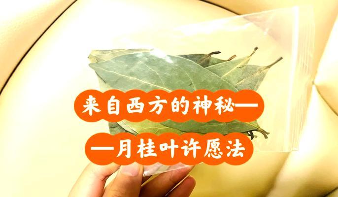 月桂叶子卷曲的原因与处理方法（探索月桂叶子卷曲的根源，掌握有效处理方法）