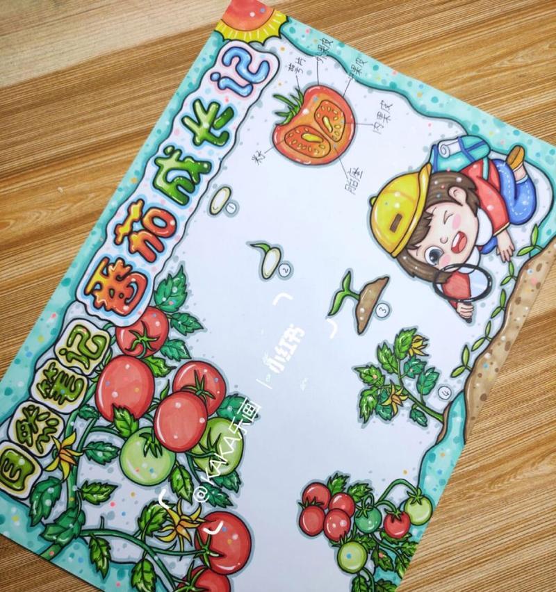 番茄生长的全过程（从种子到果实，让我们看见奇迹的发生）