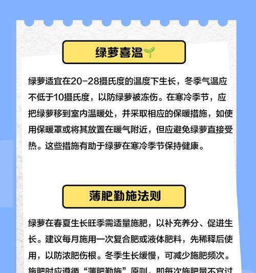 绿萝开花的养殖技巧（打造美丽绿意，让绿萝绽放花海）