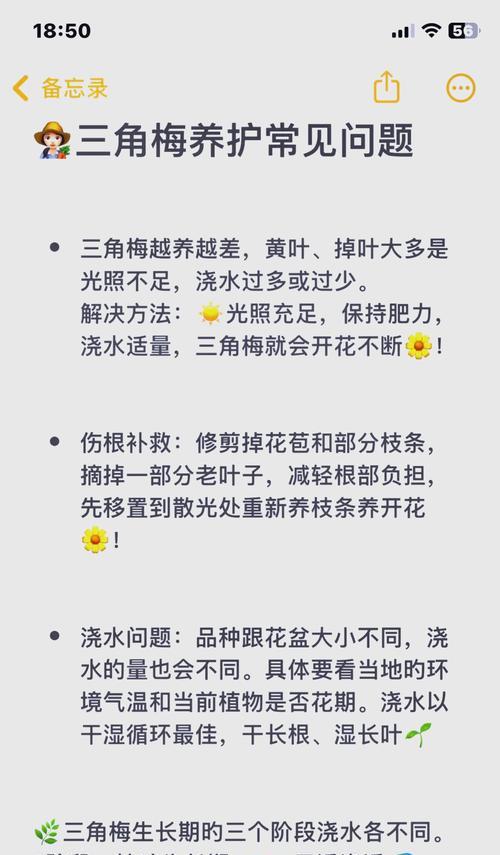 如何正确浇水以干支梅花