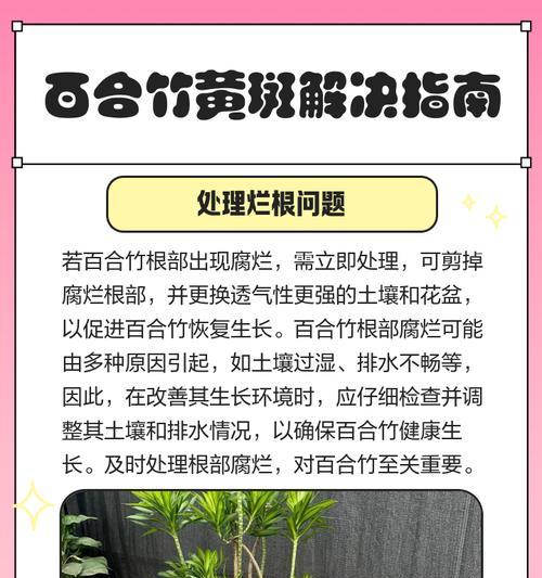 百合叶片发黄的原因与处理方法（百合叶片黄化可能的原因与有效的护理方法）