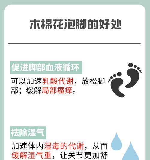 华北木棉花盆栽养护指南（打造美丽花园的关键诀窍）