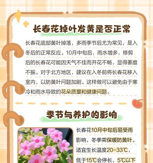 花叶子一周发黄的原因及处理方法（揭秘导致花叶子发黄的原因以及有效的处理方法）