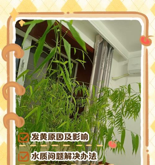 解决竹子花叶子发黄的方法（让你的竹子重新焕发青春）