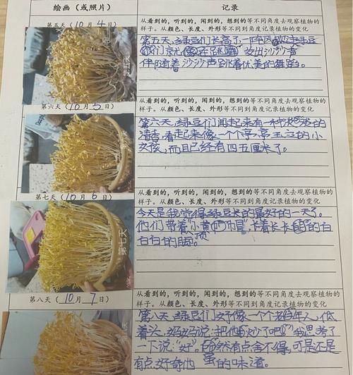 冬天豆芽种植的技巧与方法（让你在寒冷冬天也能享受新鲜的豆芽）
